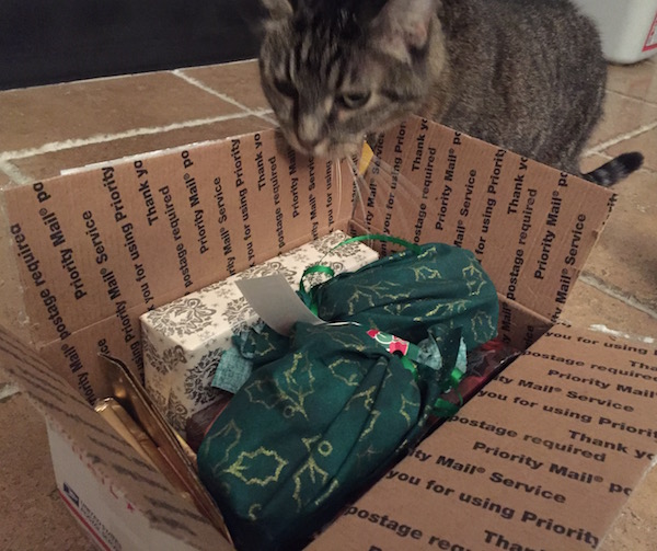 Cat and box of gifts